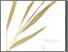 [thumbnail of Temulawak]