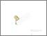 [thumbnail of Temulawak]