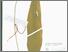 [thumbnail of Kune aba]