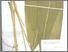 [thumbnail of Temulawak]