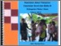 [thumbnail of PDBK 40 - Model Peningkatan Kinerja Tenaga Kesehatan dalam _ocr cs.pdf]