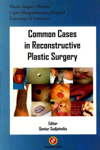 Image of Common cases in recontructive plastic surgery