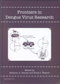 Image of Frontiers in Dengue Virus Research