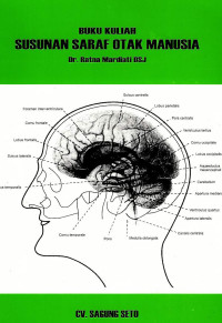 Image of Susunan Saraf otak manusia (buku kuliah)