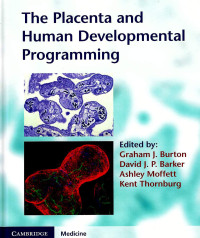 Image of THe Placenta and human development programming