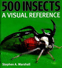 Image of 500 insects: a visual reference