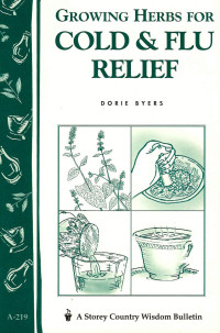 Image of Growing herbs for cold & flu relief