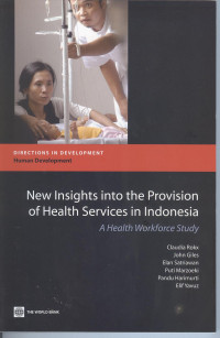 Image of New Insights into the provision of health services in Indonesia: a health workforce study