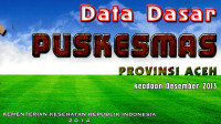 Image of Data dasar Puskesmas provinsi Aceh: keadaan Desember 2013
