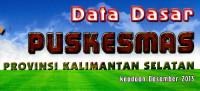 Image of Data dasar Puskesmas provinsi Kalimantan Selatan: keadaan Desember 2013