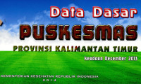 Image of Data dasar Puskesmas provinsi Kalimantan Timur: keadaan Desember 2013