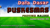 Image of Data dasar Puskesmas provinsi Maluku, Maluku Utara: keadaan Desember 2013 ,