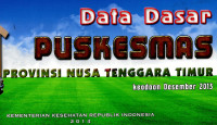 Image of Data dasar Puskesmas provinsi Nusa Tenggara Timur: keadaan Desember 2013