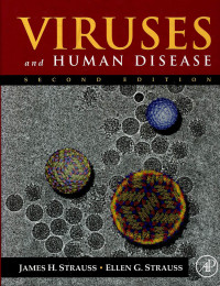 Image of Viruses and Human Disease