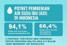 Potret Pemberian Air Susu (ASI) di Indonesia